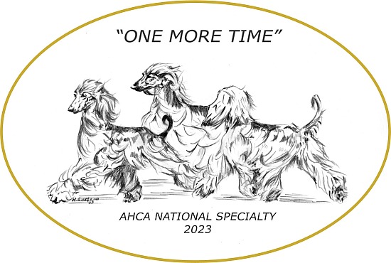 AFGHAN HOUND NATIONAL SPECIALTY ; OCT 2023