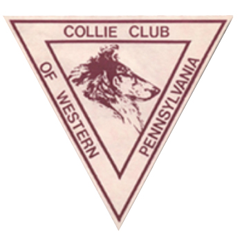 COLLIE CLUB OF WESTERN PA : FEB 2024