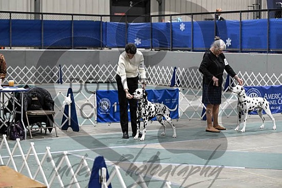 RUBBER CITY KC - JAN 2026 (RINGSIDES ONLY)