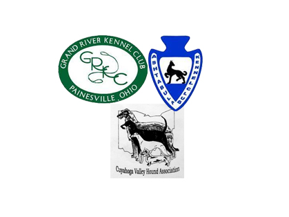 REGATTA CLUSTER & SPECIALTIES : JULY 2026